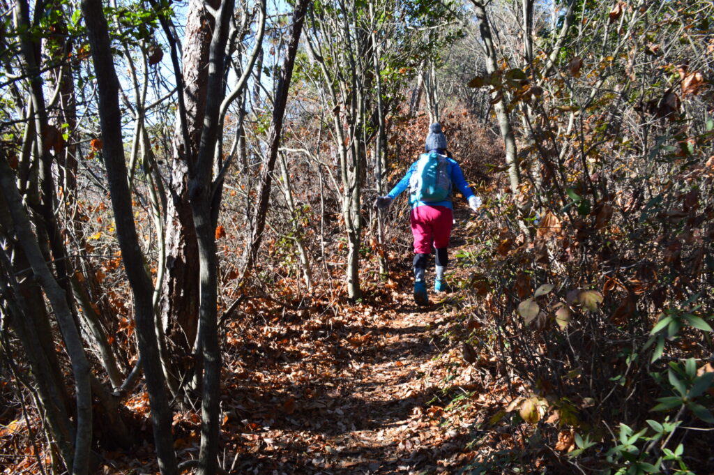 日差しの当たる登山道