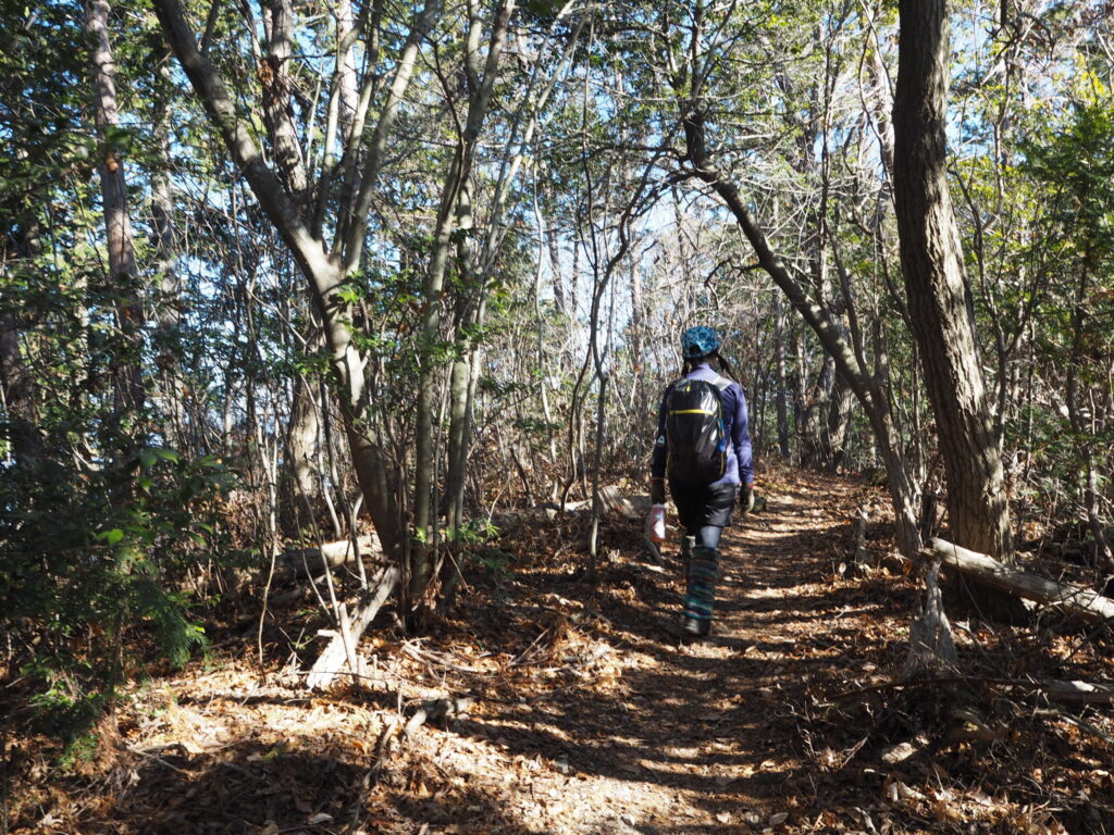 落ち葉がたくさんの登山道