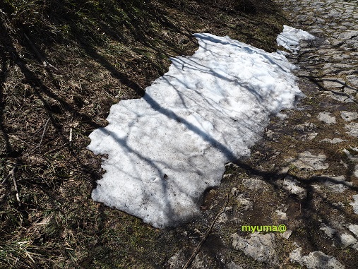 残雪