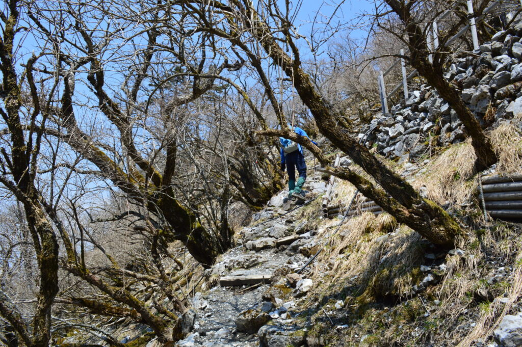 整備された登山道