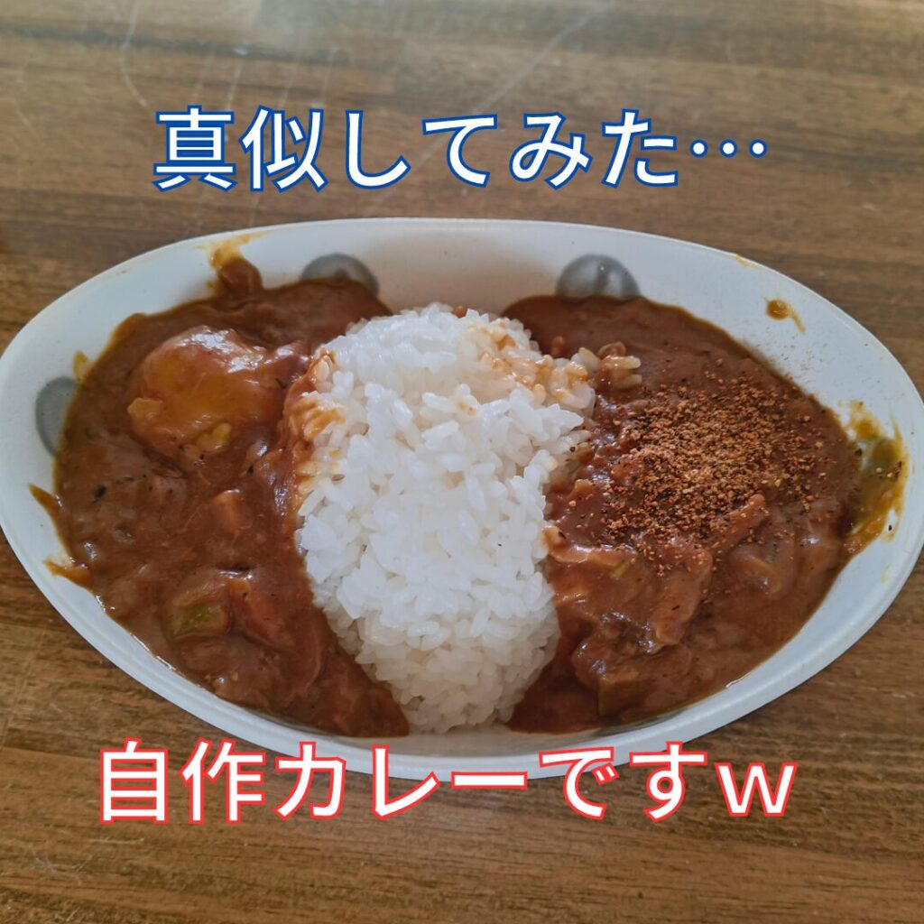 自家製のカレー。盛り付けがへたくそｗ