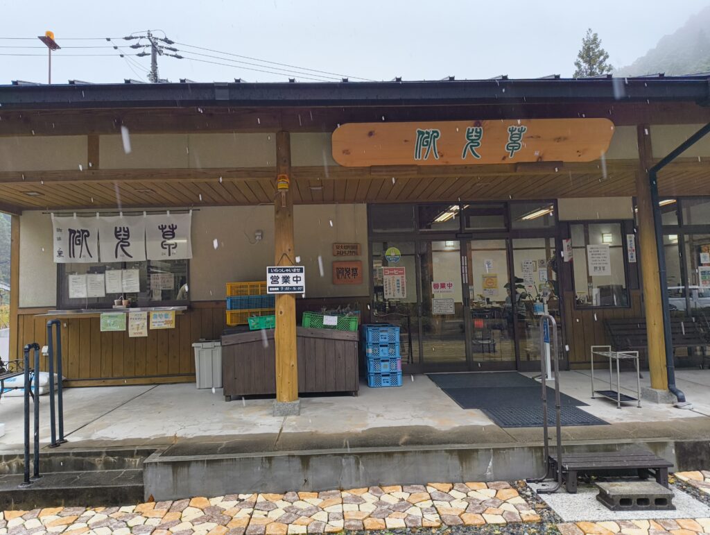 似兒草の外観