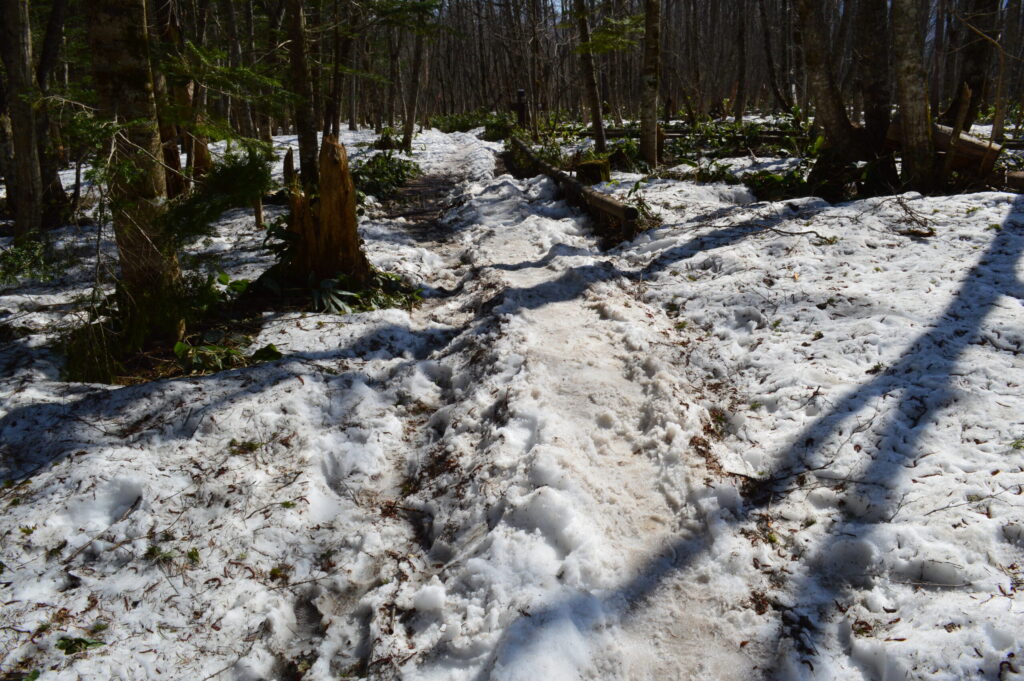雪の残る上高地