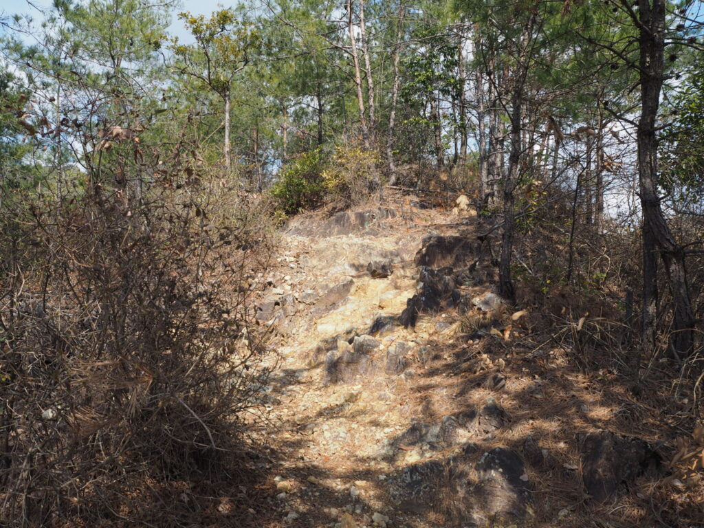 結構急なガレ場