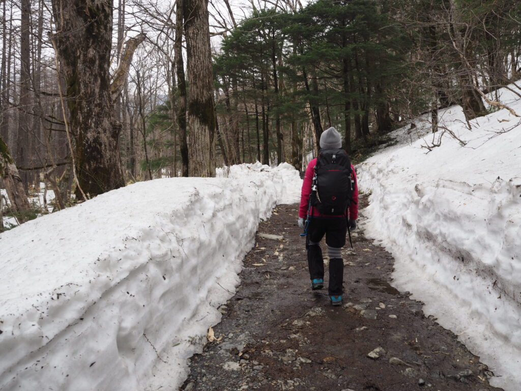 雪の壁の登山道