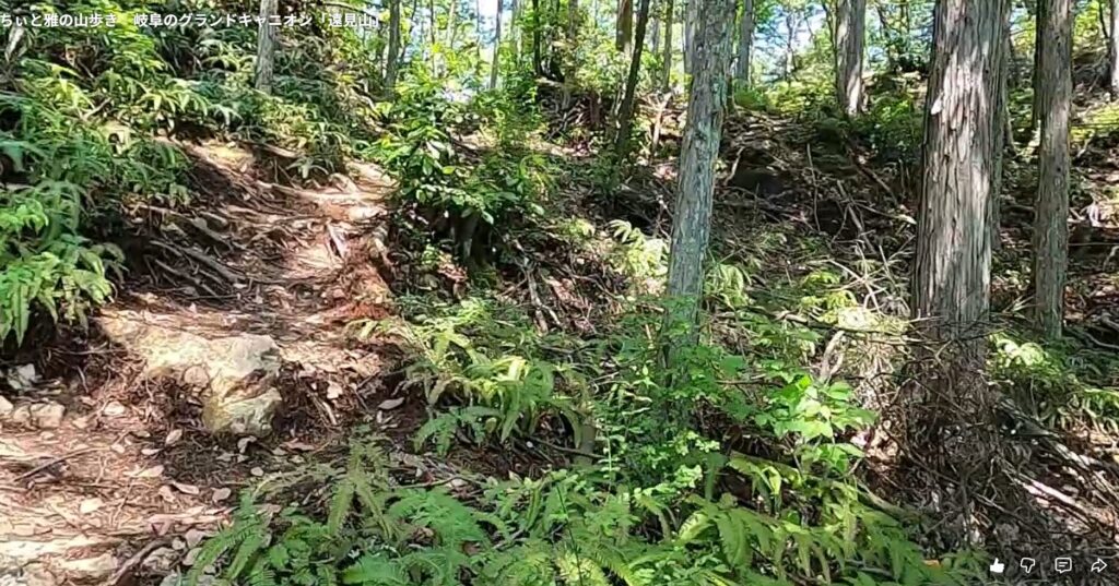 山頂付近です。