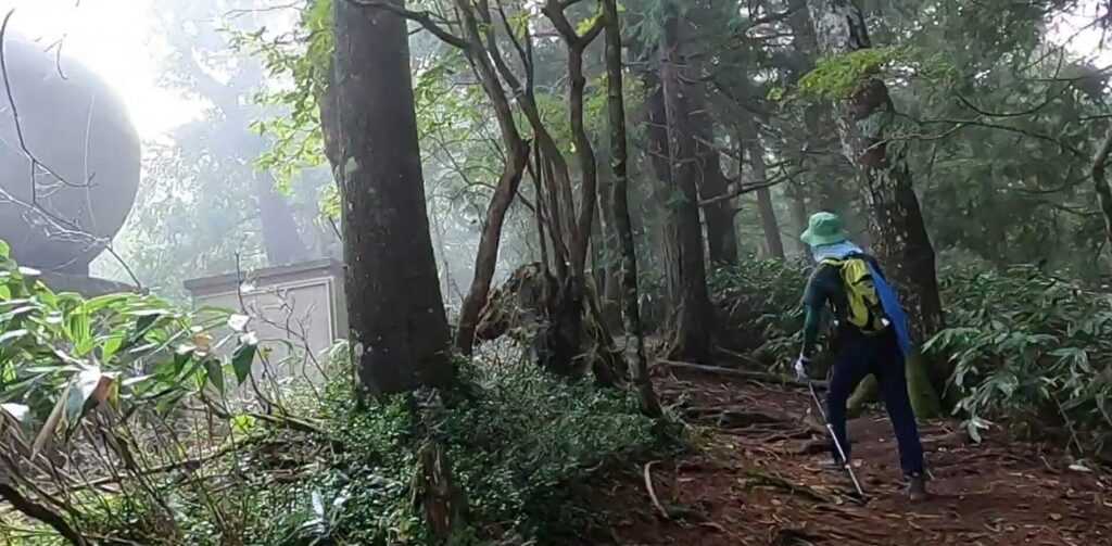 もやがかかった登山道
