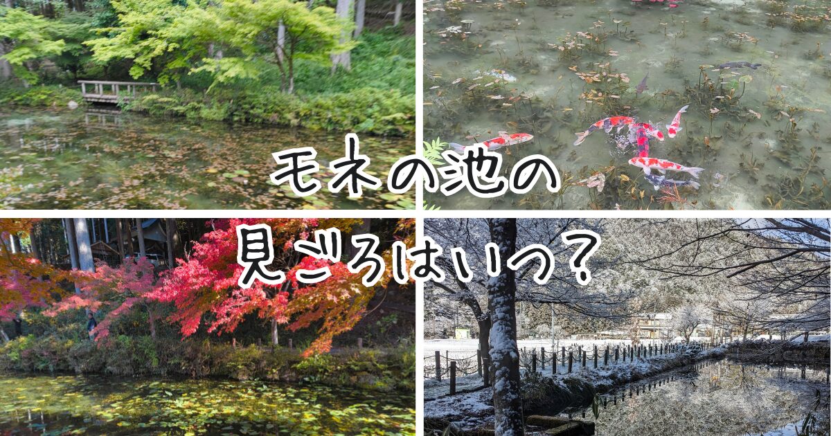 モネの池の四季を写した写真