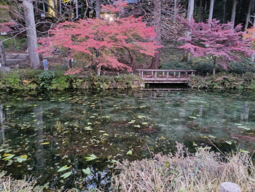 秋のモネの池