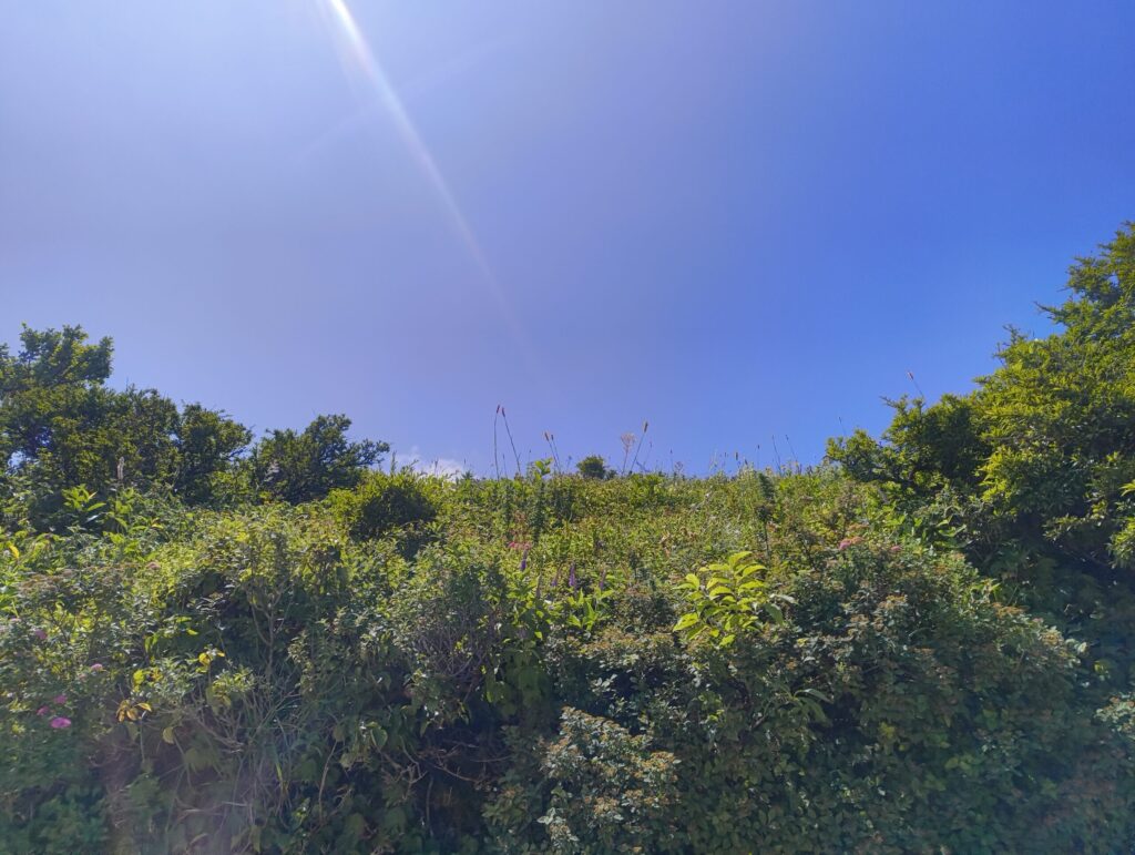 伊吹山の写真