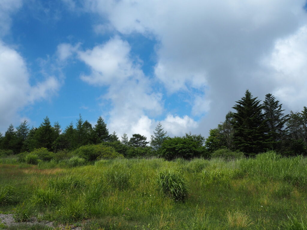 霧ヶ峰キャンプ場の写真
