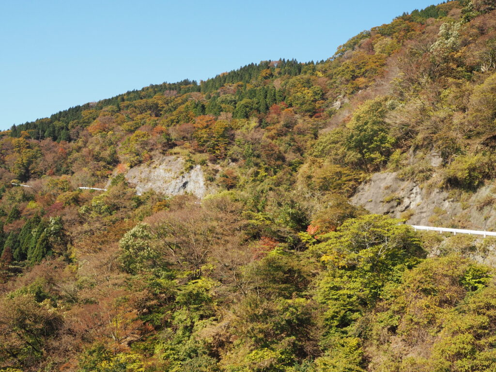 秋の伊吹山ドライブウェイの写真